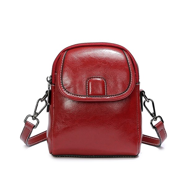 DOLAND LION  Сумка женская / кожа / 1535 82115