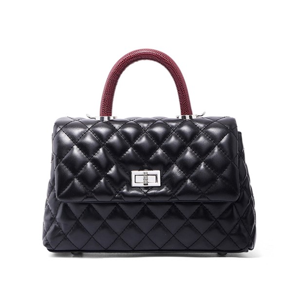 DOLAND LION  Сумка женская / кожа /   1116 82573