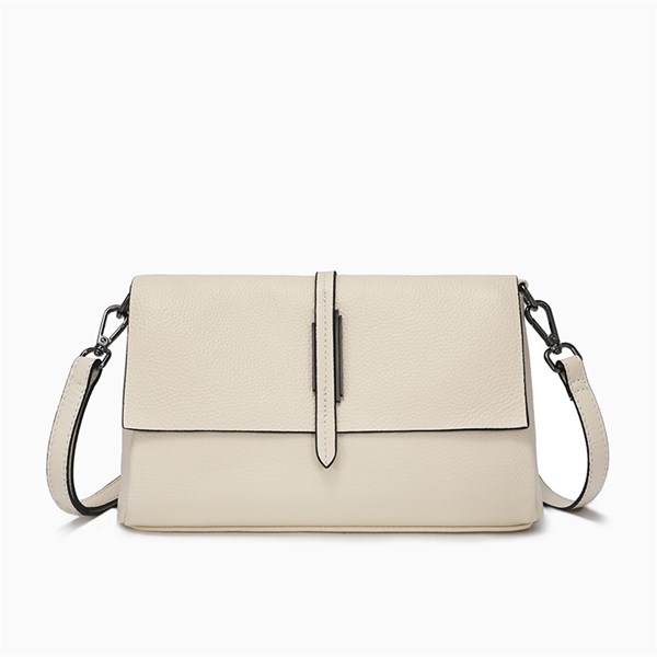 DOLAND LION  Сумка женская / кожа /   5801 82831