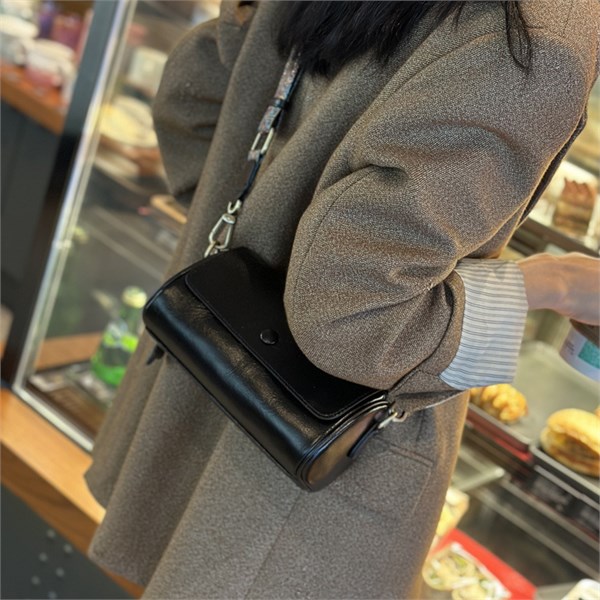 DOLAND LION  Сумка женская / кожа / 9250 82901