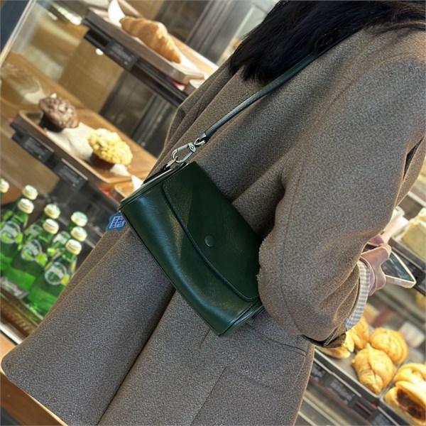 DOLAND LION  Сумка женская / кожа / 9250 82902