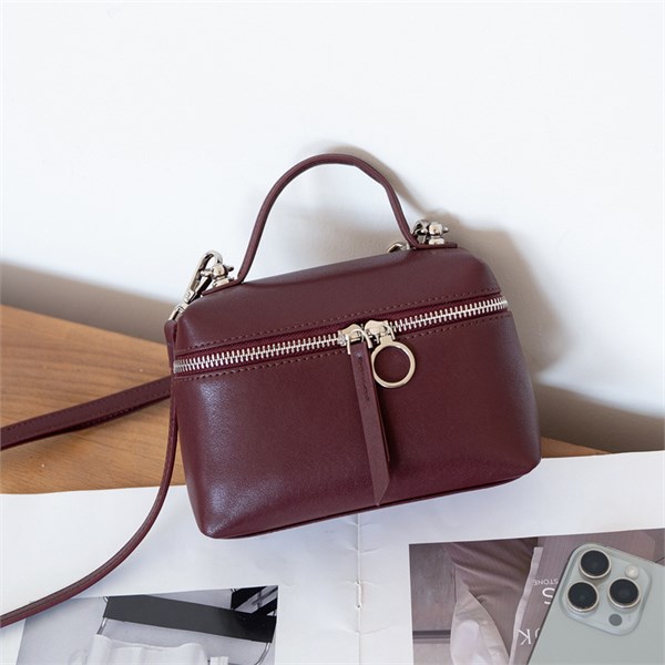 DOLAND LION  Сумка женская / кожа / 1607 100766