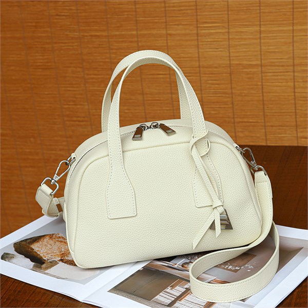 DOLAND LION  Сумка женская / кожа / 1622 100803