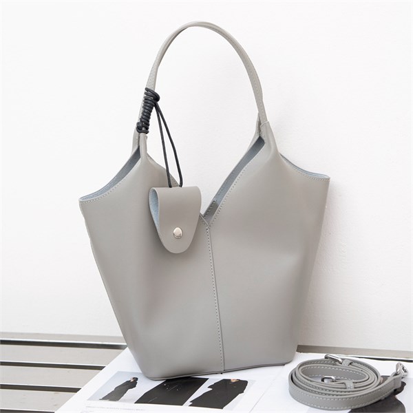 DOLAND LION  Сумка женская / кожа /  1623 100807