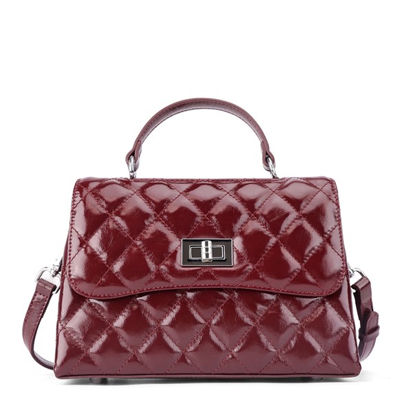 DOLAND LION  Сумка женская / кожа /  1628 100825