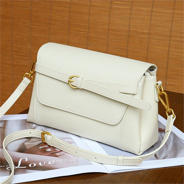 DOLAND LION  Сумка женская / кожа / 1630 100833