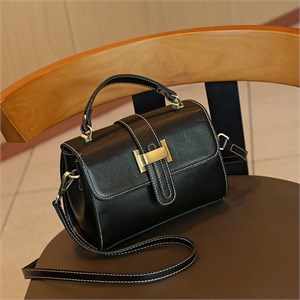 DOLAND LION  Сумка женская / кожа /  ML9240 70384