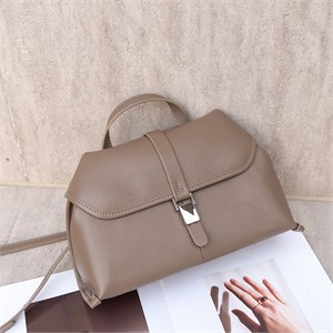 DOLAND LION  Сумка женская / кожа /    TNS99-29 70647