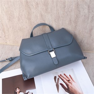 DOLAND LION  Сумка женская / кожа /    TNS99-29 70648