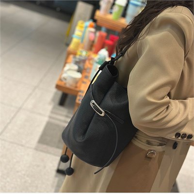 DOLAND LION  Сумка женская / кожа /  1526 82006