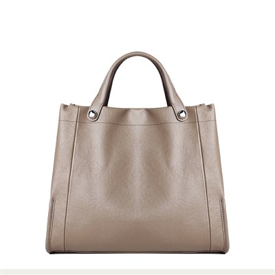 DOLAND LION  Сумка женская / кожа /  1569 82362