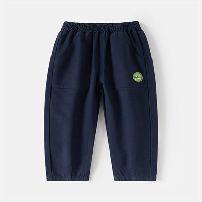 WELLKIDS Штаны kz3504 83857