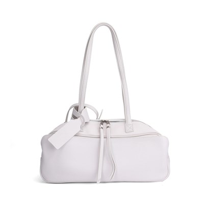 DOLAND LION  Сумка женская / кожа / (маленькая)  1608 100772