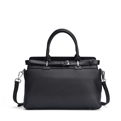 DOLAND LION  Сумка женская / кожа / 1609 100783