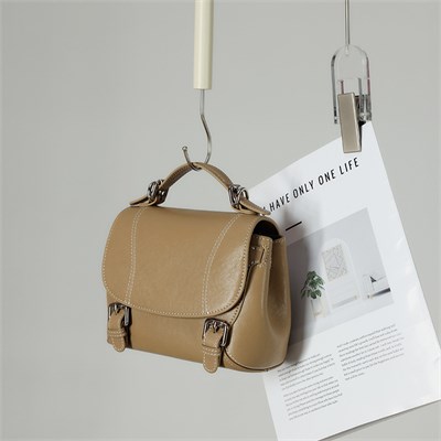 DOLAND LION  Сумка женская / кожа / 1611 100784