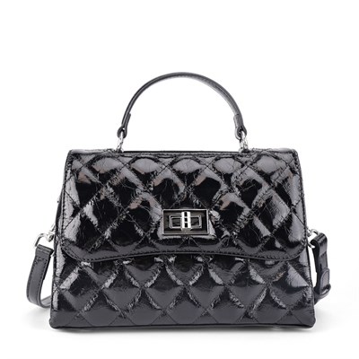 DOLAND LION  Сумка женская / кожа /  1628 100828