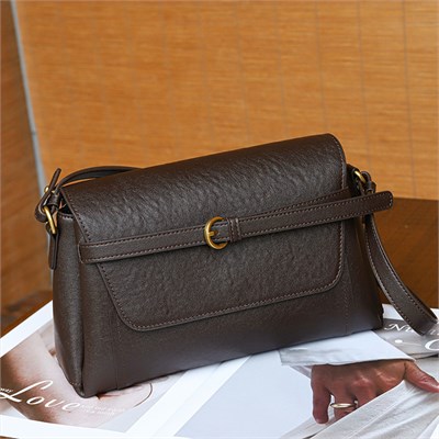 DOLAND LION  Сумка женская / кожа / 1630 100836