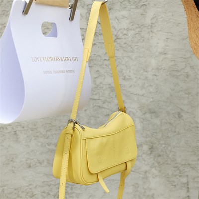 DOLAND LION  Сумка женская / кожа / 1638 101431