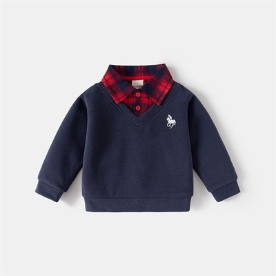 {{photo.Alt || photo.Description || 'WELLKIDS Свитер  wt1992'}}