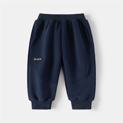 WELLKIDS Штаны   kz3502 102817