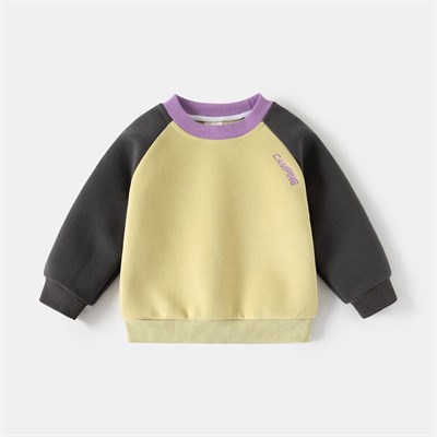 WELLKIDS Толстовка   wt1993 144179