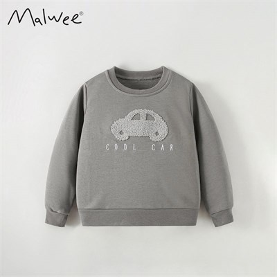 {{photo.Alt || photo.Description || 'MALWEE Свитер для мальчиков  119013'}}