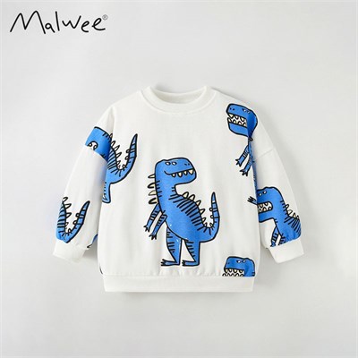 {{photo.Alt || photo.Description || 'MALWEE Свитер для мальчиков  119018'}}