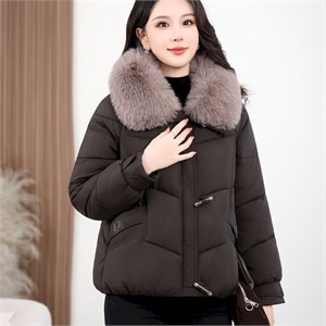 {{photo.Alt || photo.Description || 'Cute Woman  Куртка стеганая с меховым воротником  001-B63'}}