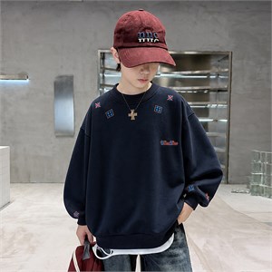 {{photo.Alt || photo.Description || 'FAIRCHILD Толстовка  26280'}}