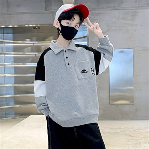 {{photo.Alt || photo.Description || 'FAIRCHILD Толстовка  1158'}}