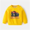 WELLKIDS wt1694 63089440855254352 - фото 221382