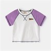 WELLKIDS   tx2665 70232 - фото 372987