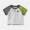 WELLKIDS   tx2665 70233 - фото 372990