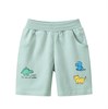 TSKIDS Шорты    6296 70813 - фото 379729