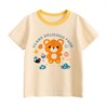27HOME/GRRR  HT9279 70912 - фото 380910