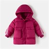 WELLKIDS  wt1988 81683 - фото 462068