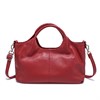 DOLAND LION  Сумка женская / кожа /  1537 82629