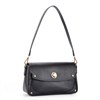DOLAND LION  Сумка женская / кожа /  1586 82794