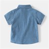 WELLKIDS Рубашка джинсовая tx2550 7525859293399340