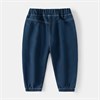 WELLKIDS Штаны kz3350 68147763930755760