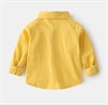 WELLKIDS Рубашка tx2316 63701920170440128