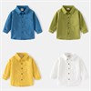 WELLKIDS Рубашка tx2492 73000139164442368