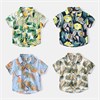 WELLKIDS Рубашка tx2444 6689958250706946