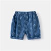 WELLKIDS Шорты kz3358 69940002787513688