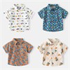 WELLKIDS Рубашка tx2583 39282