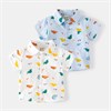 WELLKIDS Рубашка tx2523 70992677302126864
