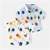 WELLKIDS Рубашка tx2497 70244950909226864