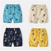 WELLKIDS Шорты kz3312 66872427238619648