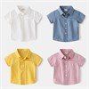 WELLKIDS Рубашка tx2369 6443468396892981