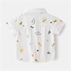 WELLKIDS Рубашка tx2367 64295878027510416